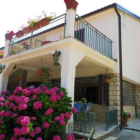 Villa Matohanca Rovinj Eksteriør billede