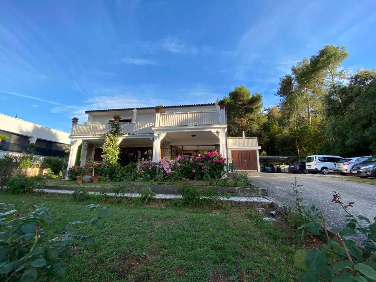Villa Matohanca Rovinj Eksteriør billede